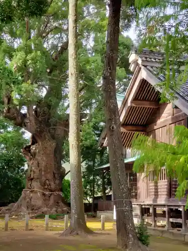 川津来宮神社の芸術