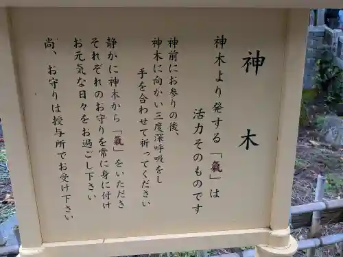 三峯神社(埼玉県)