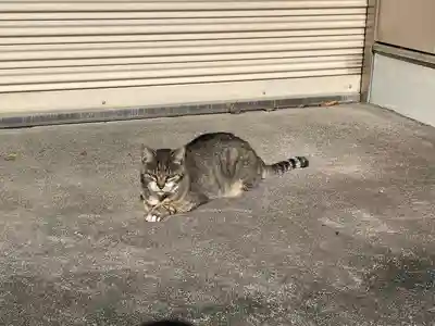 白金氷川神社(東京都)