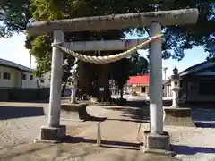 高麗川神社の鳥居