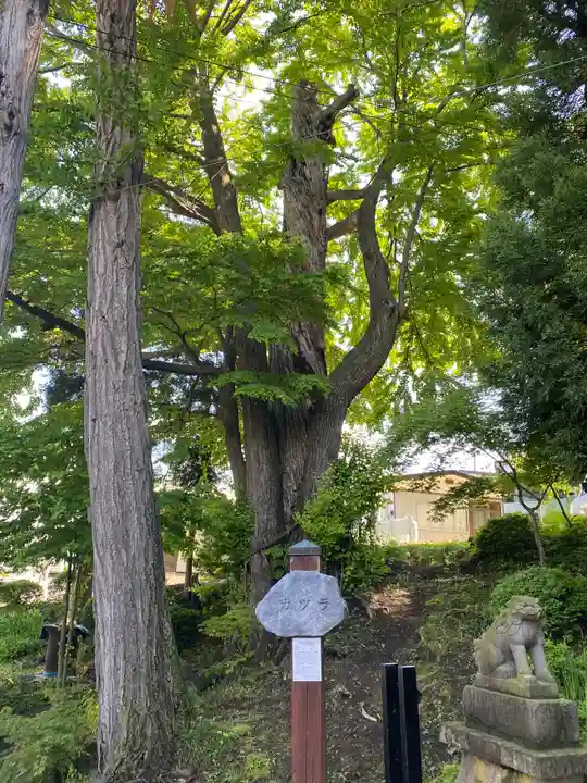 武内神社(岩手県)