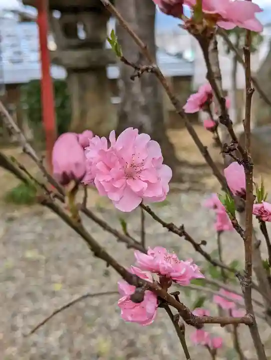 粟田神社(京都府)