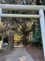 縣神社(千葉県)