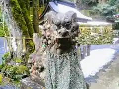 貴船神社奥宮の狛犬