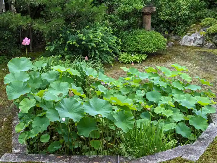 本法寺(京都府)