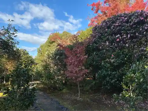 霊鑑寺門跡(京都府)