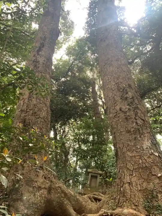 稲荷神社(千葉県)