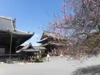 興正寺(京都府)