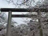 埼玉縣護國神社(埼玉県)