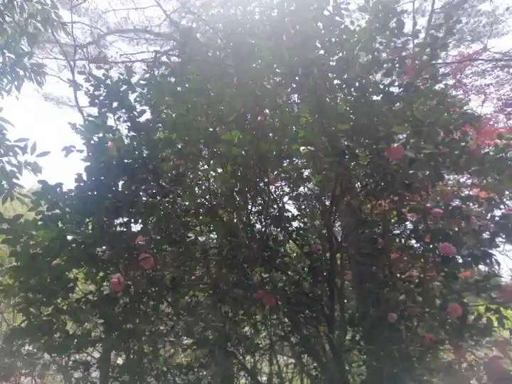 八幡神社(福島県)