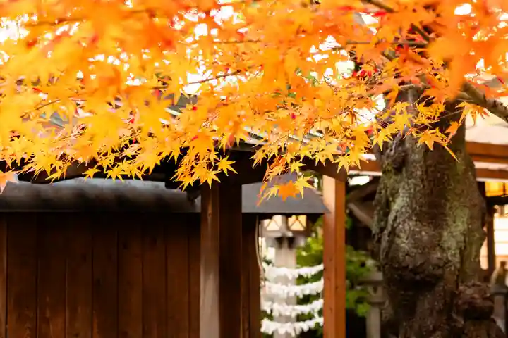 洲嵜神社(愛知県)