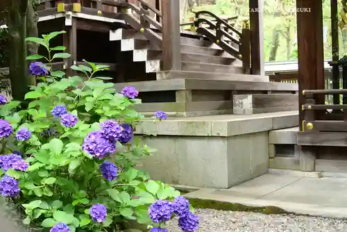 白金氷川神社(東京都)