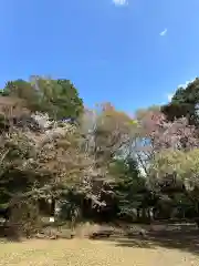 霞神社(東京都)