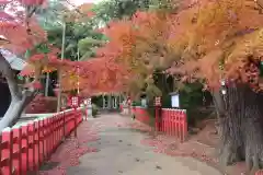 麻賀多神社奥宮(千葉県)