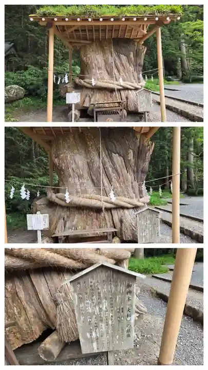 小國神社(静岡県)
