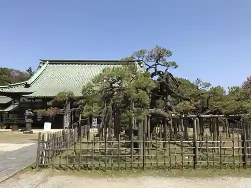 大光院 新田寺の自然