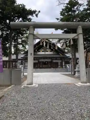 新琴似神社の{uncategorized: "未分類", other: "その他", undefined: "問題あり", building: "その他建物", grave: "お墓", sacred_gate: "鳥居", guardian: "狛犬", statue: "像", buddha: "仏像", history: "歴史", nature: "自然", garden: "庭園", animal: "動物", pagoda: "塔", temizu: "手水舎", mountain_gate: "山門・神門", sanctuary: "本殿・本堂", subordinate: "末社・摂社", art: "芸術", scenery: "景色", jizo: "地蔵", ema: "絵馬", goshuin: "御朱印", omikuji: "おみくじ", items: "授与品その他", amulet: "お守り", goshuincho: "御朱印帳", eats: "食事", festival: "お祭り", votive_dance: "神楽", shichigosan: "七五三参", wedding: "結婚式", experience: "体験その他", initially: "初詣", around: "周辺", anti_infection: "感染症対策"}