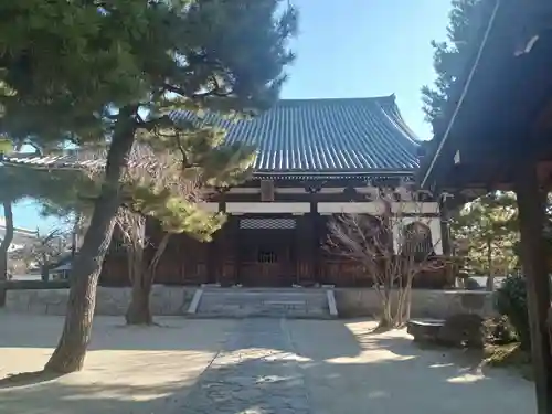 百萬遍知恩寺(京都府)