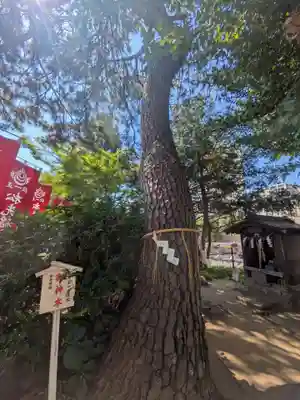 松先稲荷神社(千葉県)