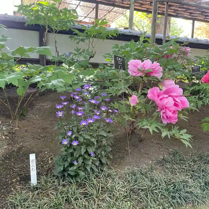 上野東照宮(東京都)