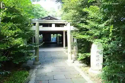 寒川神社の鳥居