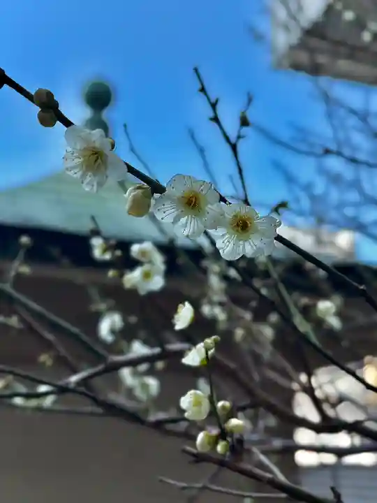 静岡天満宮(静岡県)