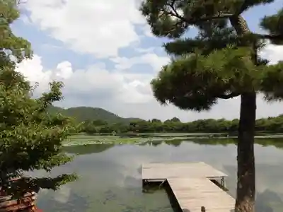 大覚寺(京都府)