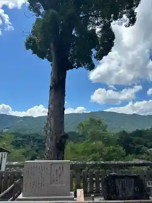 長谷寺(奈良県)