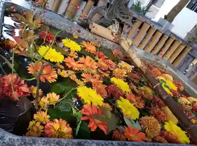 高円寺氷川神社(東京都)