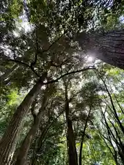 賀茂御祖神社（下鴨神社）(京都府)