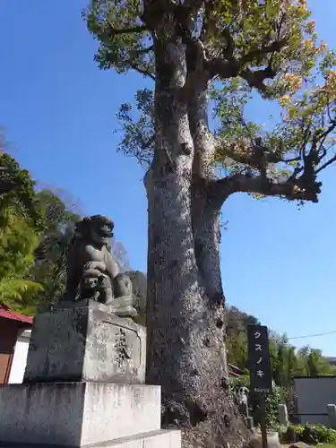 諏訪神社の狛犬