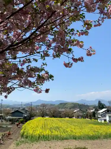 小幡八幡宮の景色