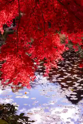 大原野神社(京都府)