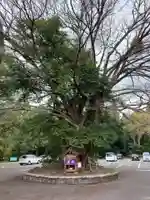 婆神様(千葉県)