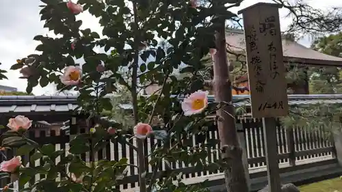 城南宮(京都府)