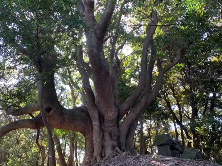 神社(名称不明)の自然