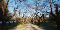 平野神社(京都府)