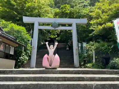 桃太郎神社（栗栖）の鳥居