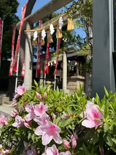 中野沼袋氷川神社の{uncategorized: "未分類", other: "その他", undefined: "問題あり", building: "その他建物", grave: "お墓", sacred_gate: "鳥居", guardian: "狛犬", statue: "像", buddha: "仏像", history: "歴史", nature: "自然", garden: "庭園", animal: "動物", pagoda: "塔", temizu: "手水舎", mountain_gate: "山門・神門", sanctuary: "本殿・本堂", subordinate: "末社・摂社", art: "芸術", scenery: "景色", jizo: "地蔵", ema: "絵馬", goshuin: "御朱印", omikuji: "おみくじ", items: "授与品その他", amulet: "お守り", goshuincho: "御朱印帳", eats: "食事", festival: "お祭り", votive_dance: "神楽", shichigosan: "七五三参", wedding: "結婚式", experience: "体験その他", initially: "初詣", around: "周辺", anti_infection: "感染症対策"}