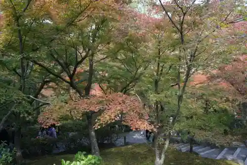 東福禅寺（東福寺）の景色