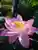 yosh!さんのプロフィール画像