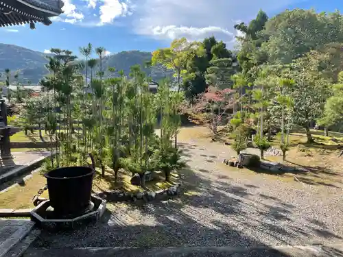 清凉寺(京都府)