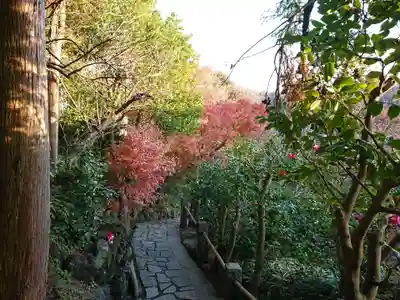杉本寺の周辺