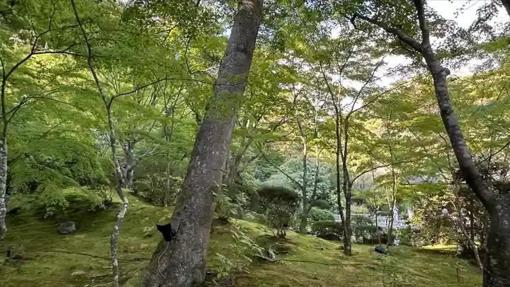 円通院(宮城県)