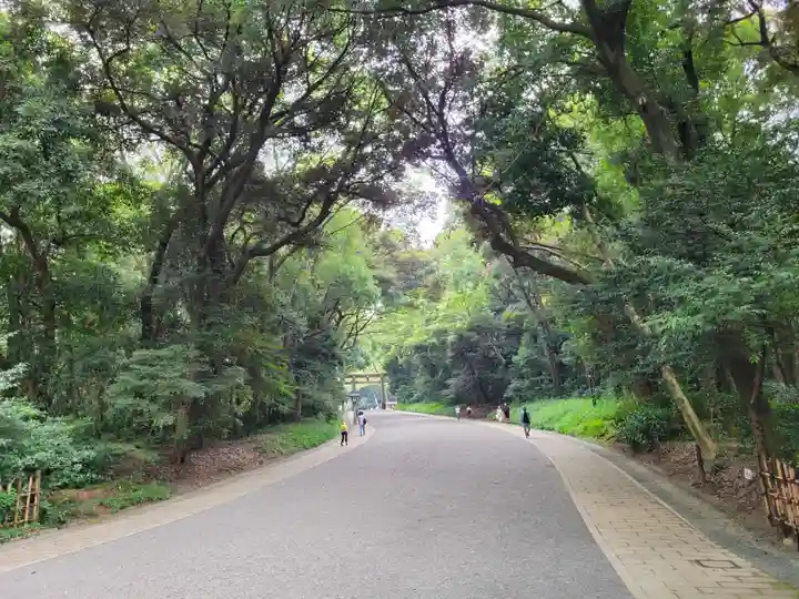 明治神宮の自然