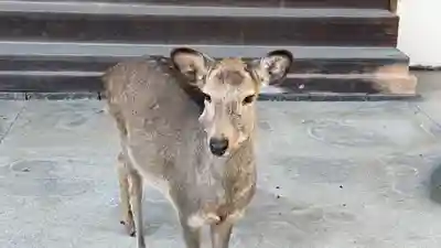 東大寺(奈良県)
