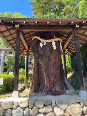 大直禰子神社(奈良県)
