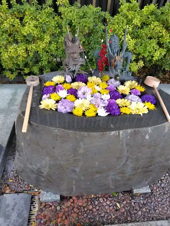 駒込妙義神社の{uncategorized: "未分類", other: "その他", undefined: "問題あり", building: "その他建物", grave: "お墓", sacred_gate: "鳥居", guardian: "狛犬", statue: "像", buddha: "仏像", history: "歴史", nature: "自然", garden: "庭園", animal: "動物", pagoda: "塔", temizu: "手水舎", mountain_gate: "山門・神門", sanctuary: "本殿・本堂", subordinate: "末社・摂社", art: "芸術", scenery: "景色", jizo: "地蔵", ema: "絵馬", goshuin: "御朱印", omikuji: "おみくじ", items: "授与品その他", amulet: "お守り", goshuincho: "御朱印帳", eats: "食事", festival: "お祭り", votive_dance: "神楽", shichigosan: "七五三参", wedding: "結婚式", experience: "体験その他", initially: "初詣", around: "周辺", anti_infection: "感染症対策"}