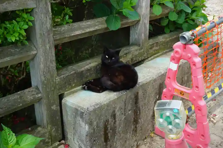 蚕影神社の動物