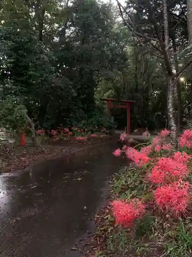 宮川熊野神社(千葉県)